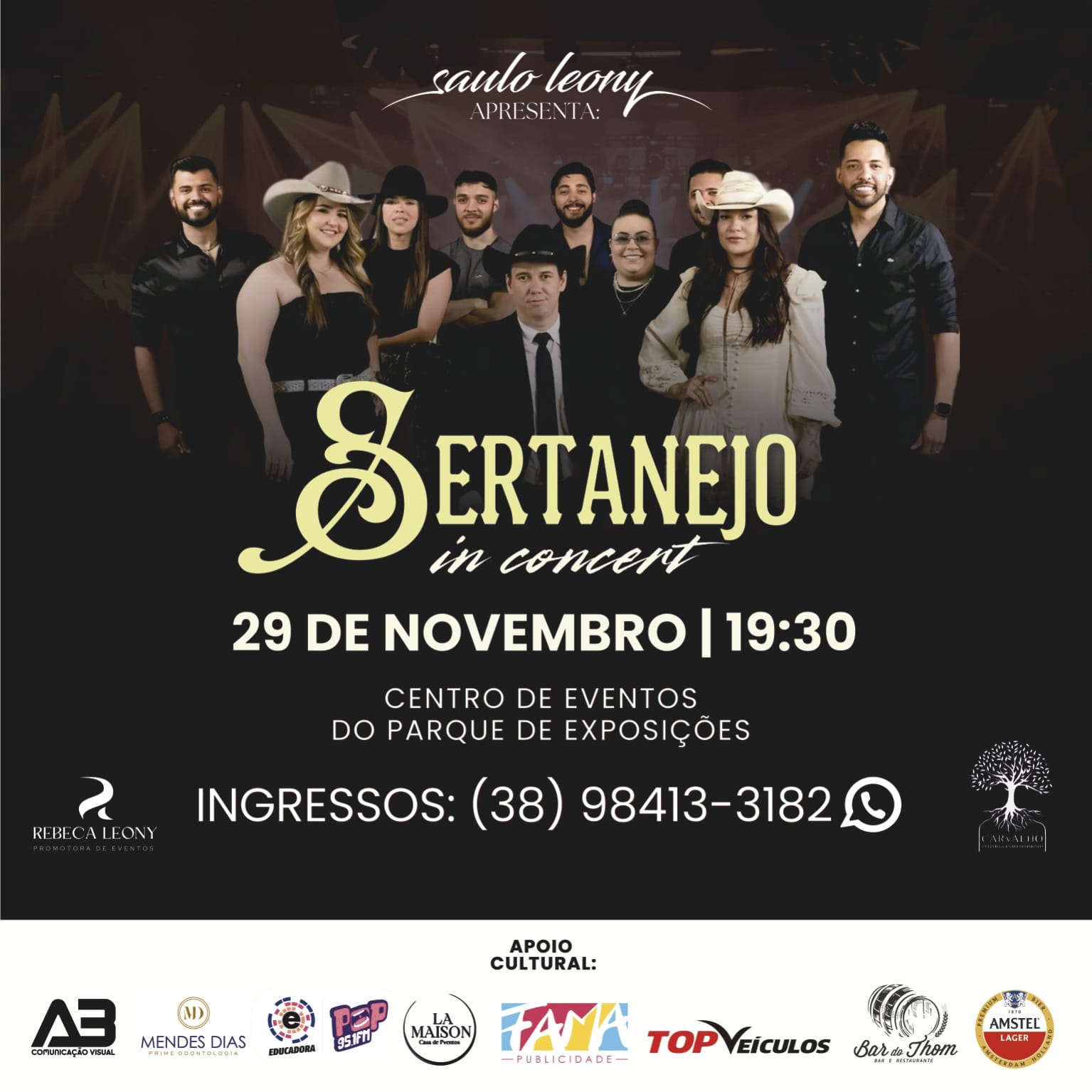 Sertanejo in concert